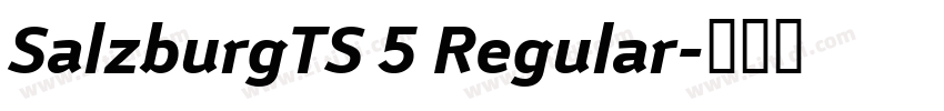 SalzburgTS 5 Regular字体转换